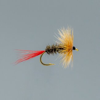 NEPTUNE Neptune Brown Hackle Dry Fly Hook #12