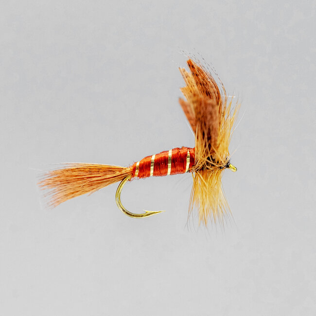 Neptune Brown May Dry Fly Hook #12