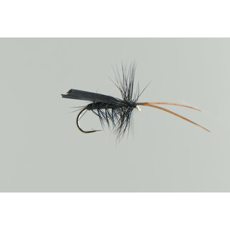 NEPTUNE Neptune Tent Caddis Dry Fly Black Hook #12
