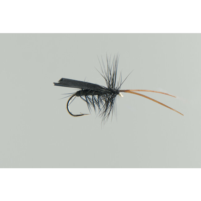 Neptune Tent Caddis Dry Fly Black Hook #12