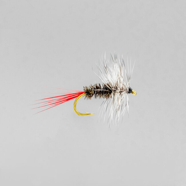 Mouche Sèche Neptune Grey Hackle Hameçon #12
