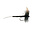 NEPTUNE Neptune Mayfly Black Extended Dry Fly Hook  #12