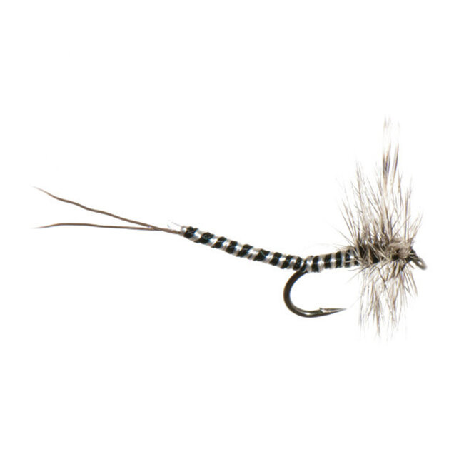 Mouche Sèche Neptune Mayfly Grizzly Extended Body Hameçon #12
