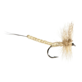 NEPTUNE Mouche Sèche Neptune Mayfly Light Cahill Extended Hameçon #12