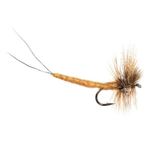 Mouche Sèche Neptune Mayfly March Brown Extended Hameçon #12