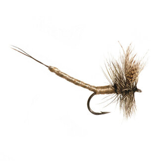 NEPTUNE Neptune Mayfly Olive Grey Extended Dry Fly Hook  #12
