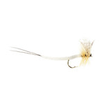 NEPTUNE Mouche Sèche Neptune Mayfly White Extended Hameçon #12