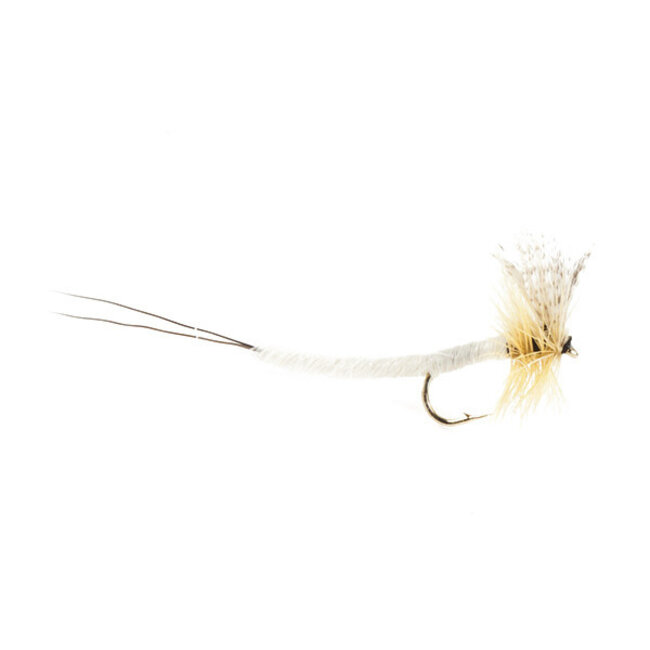 Mouche Sèche Neptune Mayfly White Extended Hameçon #12