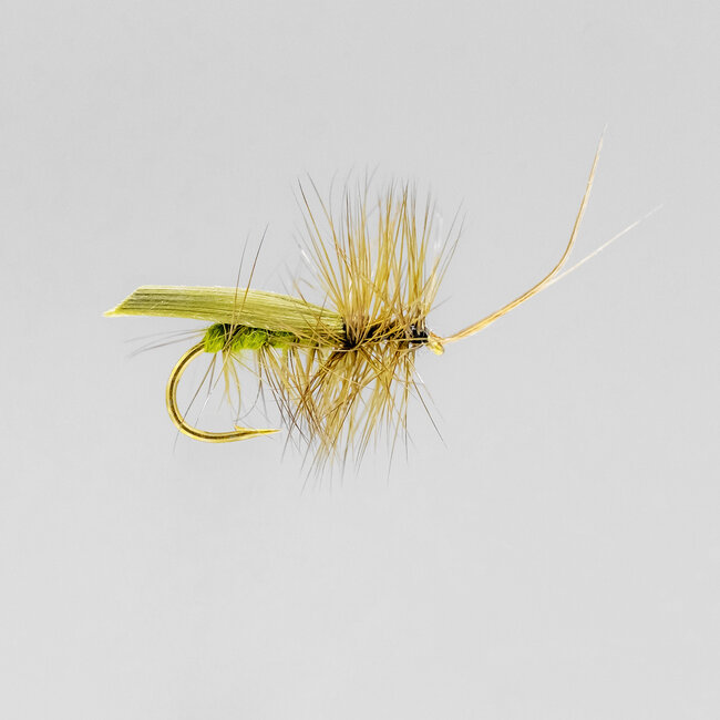 Neptune Tent Caddis Dry Fly Olive Hook #12