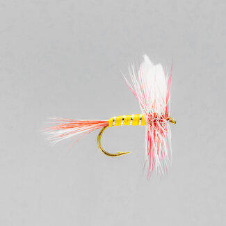NEPTUNE Neptune Par Belle Dry Fly Hook #10