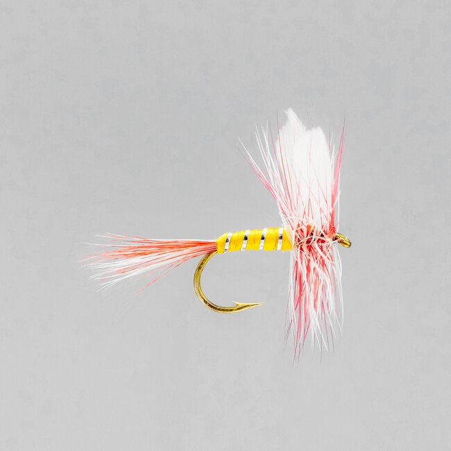 Neptune Par Belle Dry Fly Hook #10