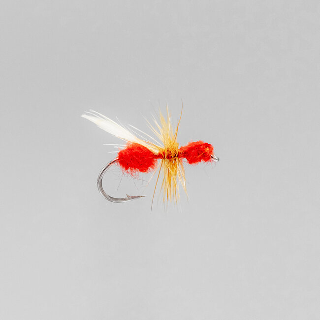 Neptune Red Flying Ant Dry Fly Hook #12