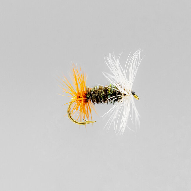 Mouche Sèche Neptune Renegade Hameçon #12