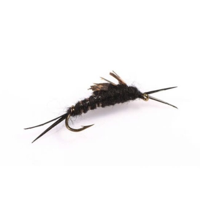 Etic Nymph Fly Black Stone Hook #10