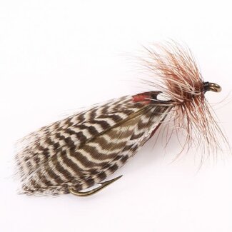 ETIC Mouche Etic Streamer Hornberg Hameçon #10