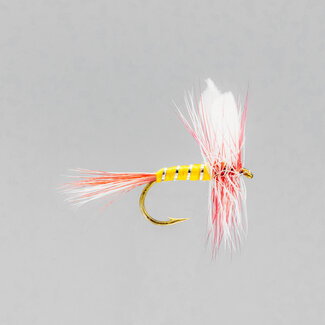NEPTUNE Neptune Par Belle Dry Fly Hook #14