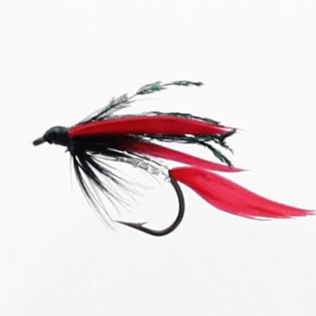 Etic Wet Fly Alexandra Hook #8