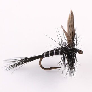 ETIC Etic Dry Fly Black Gnat Hook  #10