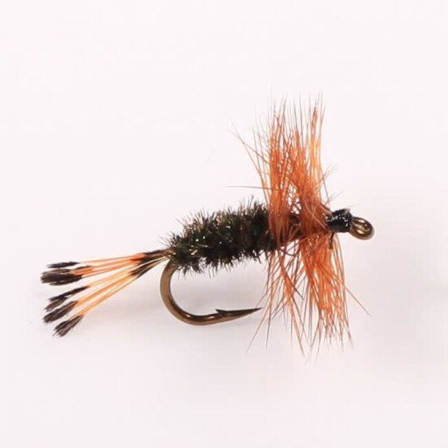 Etic Dry Fly Brown Hackle Hook #10