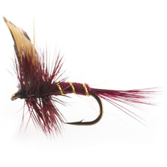 Mouche Sèche Etic Montréal Dark Hameçon #12