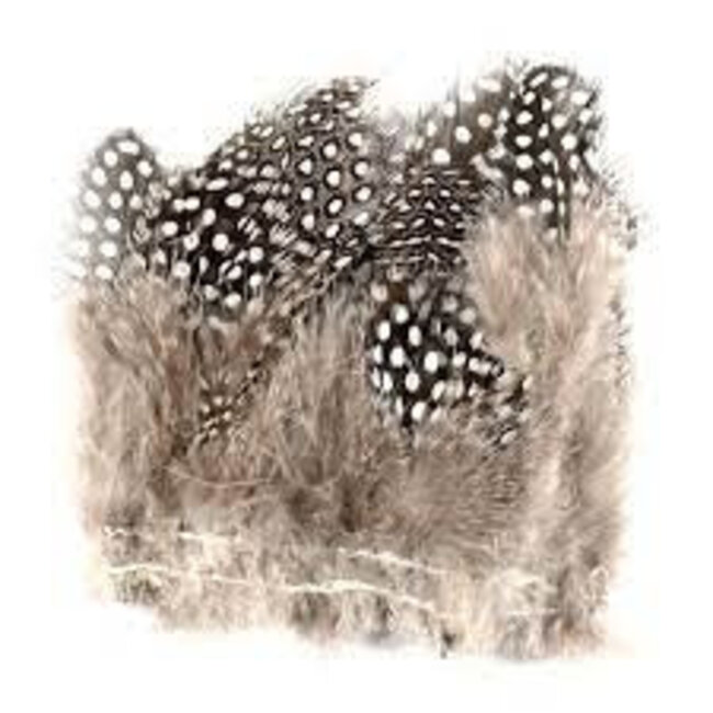 Plume Poule De Guinee Cousue Shor Fishing Natural 3Gr