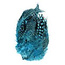 Shor Fishing Guinea Fowl Strung Dot Blue 3g