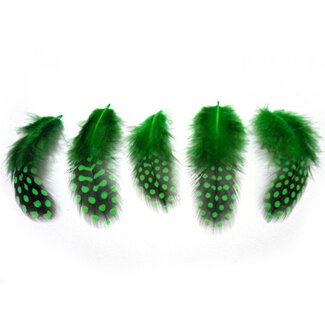 SHOR FISHING Plume Poule De Guinee Cousue Shor Fishing Green 3Gr