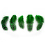 Plume Poule De Guinee Cousue Shor Fishing Green 3Gr