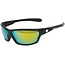 RAPALA Lunette Rapala Polarisée Hookster