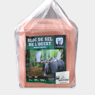 BUCK HUNTER Buck Hunter Western Salt Block Maple Flavored 20kg