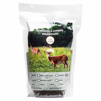 MEUNERIE SOUCY Semence Meunerie Soucy Chicorée 1Kg