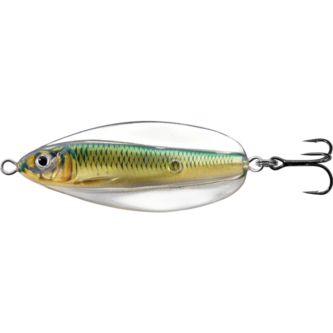 Live Target Erratic Shinner 2-1/2''