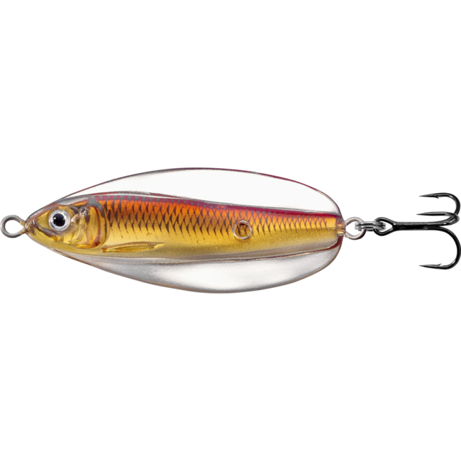 Live Target Erratic Shinner 2-1/2''