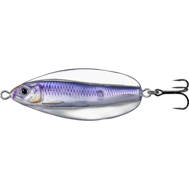 Live Target Erratic Shinner 2-1/2''