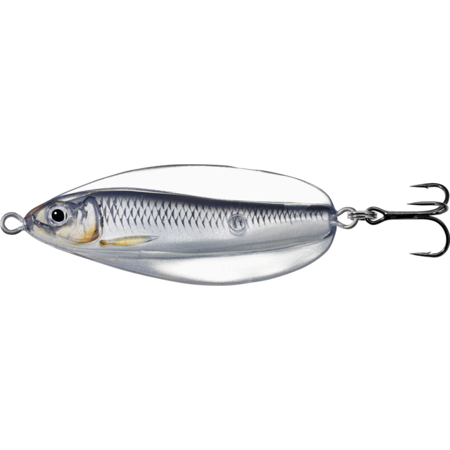 Live Target Erratic Shinner 2-1/2''