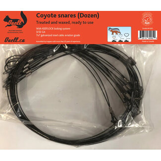 PIEGE OUELL Collet Coyote Traité Ouell Keeflock 3/32 Ga - 7X7 12/Qté