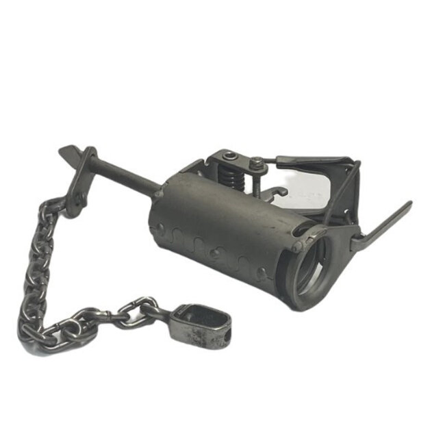 Bridger Raccoon Lill Grizz Trap