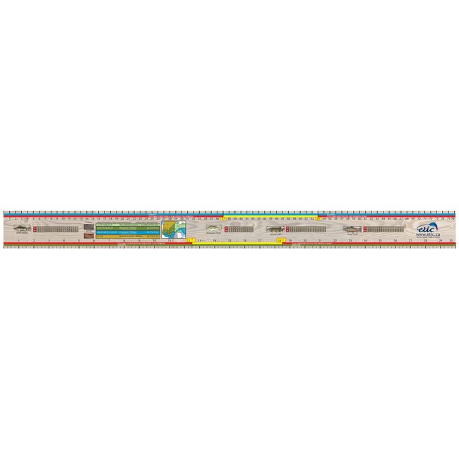 Etic Adhesive Fish Ruler 30''