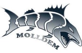 MOLLDEM