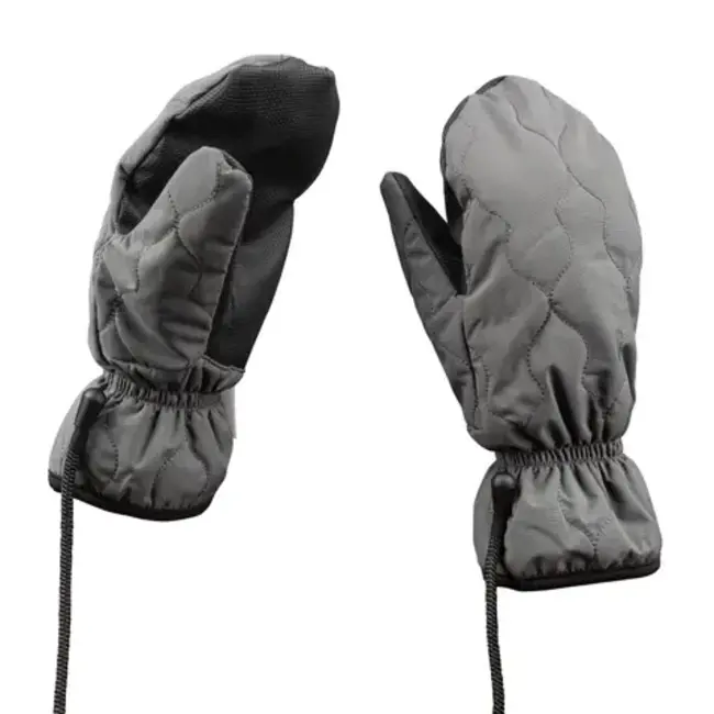 Alper "Jasper" Mittens Gray