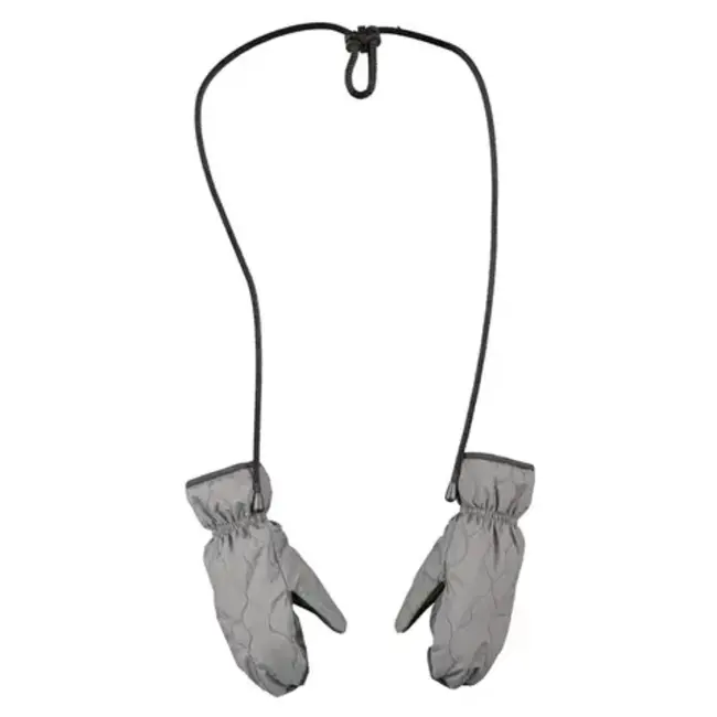 Alper "Jasper" Mittens Gray