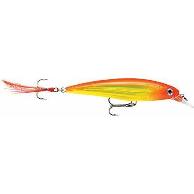 Rapala X-Rap 10 Cm
