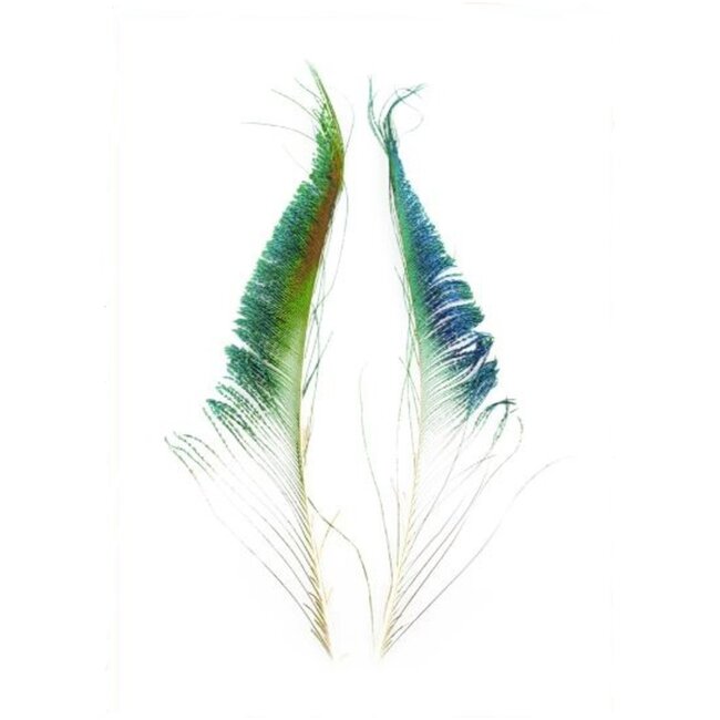 Shor Fishing Peacock Swords (Not Paired)