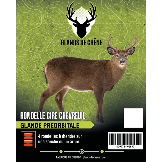 Rondelle De Cire Glands De Chêne Glande Préorbitale Pour Chevreuil