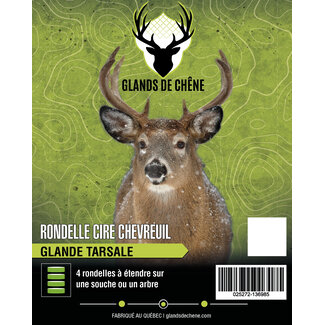 GLANDS DE CHÊNE Rondelle De Cire Gland De Chênes Glande Tarsale Pour Chevreuil