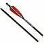 Flèche D’Arbalète Tenpoint Evo-X 16" 6/Pqt