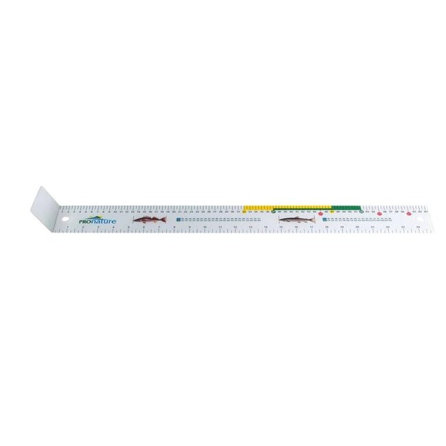 Règle À Poisson Pronature Big Fish 25''