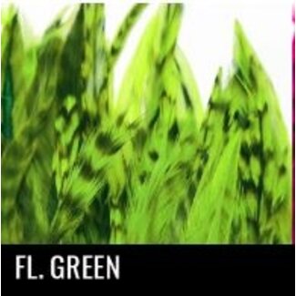SHOR FISHING Shor Fishing Chinchilla Hackle Fluorescent Green 3 to 5''