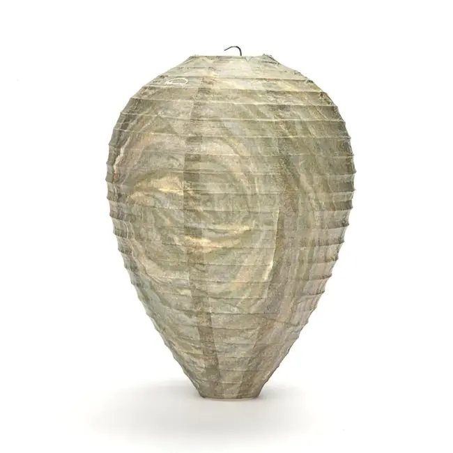 Wasp Bee Gone Artificial Wasp Nest 2/Pkg