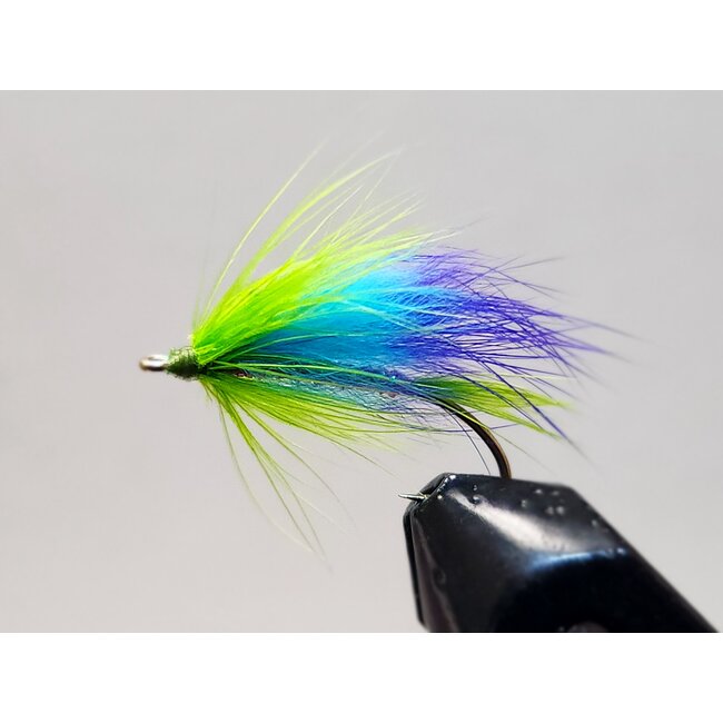 Mouche Musquaro Rainbow Hameçon #8